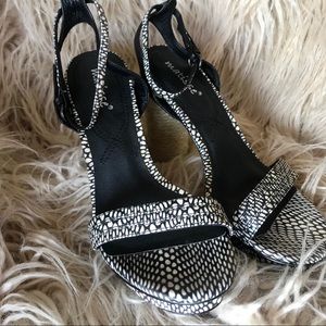Matisse Carmen Heels in Black Python